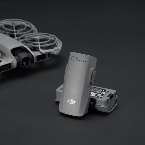DJI Neo 2 Intelligent Flight Battery (2-Pack)