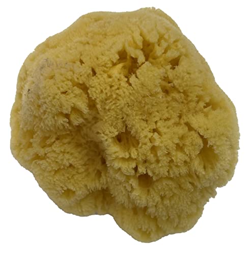 Natural Yellow Grass Sea Sponge 5-6 in Large Bath Shower Artist Painting - style: Yellow Grass 5-6 Inch