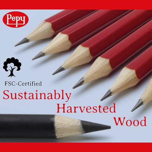 Pepy Graphite and Charcoal Professional Drawing Pencil Assortment; 9 Graphite and 3 Charcoal Hardnesses; Pre-Sharpened; Perfect for Drawing, Sketching and Shading, Graphic and Fine Art