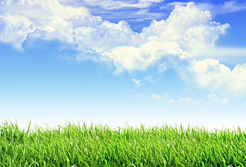 Leyiyi 8x6ft Spring Grassland Photography Background Gardening Plant Meadow Sky Cloud Light Spot North Prairie Backdrop Nature View Outdoor Activity Kids Birthday Photo Portrait Vinyl Studio Prop - size: 8x6ft