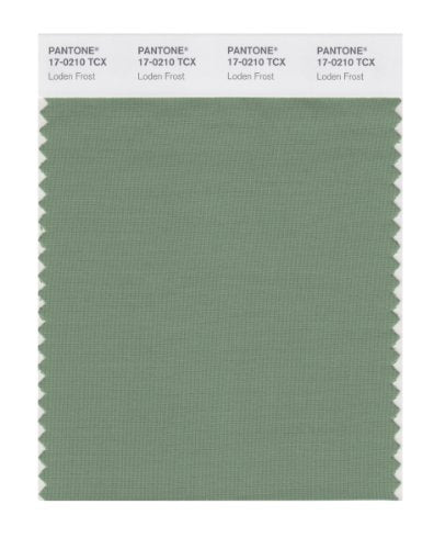 PANTONE SMART 17-0210X Color Swatch Card, Loden Frost - color: Loden Frost