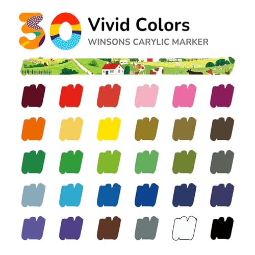 WINSONS Acrylic Markers, 30 Dual-Tip Paint Pens for Rock Painting, Colouring Books, Mugs, Canvas Shoes, Metal, Scrapbooking - Quick Dry, Brush & Fine, Drawing Markers
