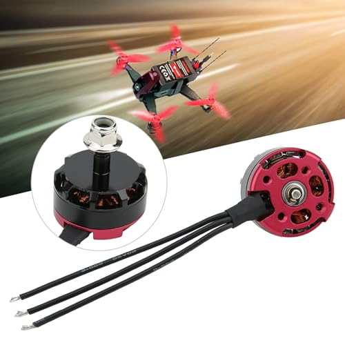HERCHR RS2205 2300KV Brushless Motor Part, CW/CCW 3-4S RC Motors for FPV Racing Drone FPV Multicopter, Maximum Thrust 1024G