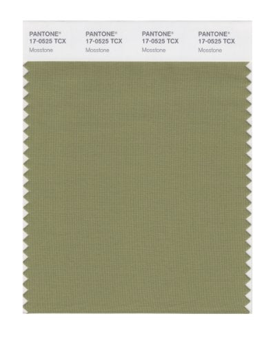 PANTONE SMART 17-0525X Color Swatch Card, Mosstone - color: Mosstone