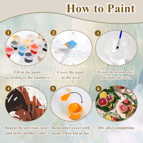 Fruit Paint by Numbers Kit for Adults, Paint by Number for Adults 16x20 in - color: Fruit