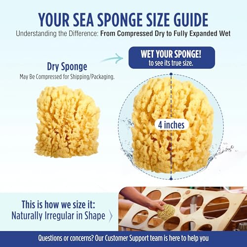 Baby Buddy Natural Wool Sea Sponge, Newborn Bath Time Essential, Ultra Soft for Delicate Skin, Hypoallergenic and Biodegradable, 4 Pack - size: 4 Count (Pack of 1)