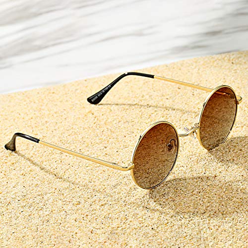 Pro Acme Small Round Polarized Sunglasses for Women Men Retro Metal Shades - color: C7 - Gold Frame/Brown Gradient Lens