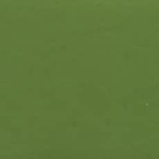 Holbein Artists Gouache Moss Green 15ml (A)
