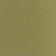 Holbein Acryla Gouache 20ml Ash Yellow
