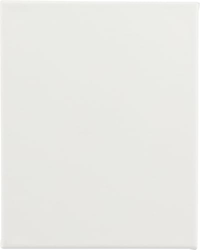 Paramount Canvas for Painting - Pack of 6, 24x30 White Canvases- 11/16" 100% Cotton Stretched Canvas, Triple-Primed for All Media, Medium Tooth, Back-Stapled, 12oz Primed Weight, Wood Stretcher Bars - size: 24x30" - Box of 6