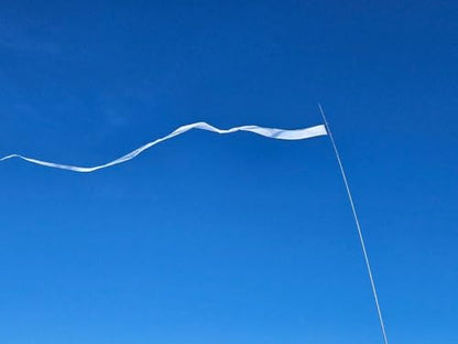 EEZ RV Products 25' Combination Three Colors (Red White Blue) Streamer, Great for RVing, Boondocking, Backyard Windsock