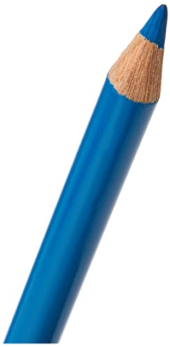 Faber-Castell Polychromos Artists' Single Pencil - Colour 149 Bluish Turquoise - color: Bluish Turquoise