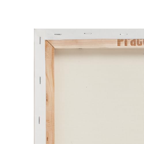 Practica Economy Stretched Cotton Canvas 20-Pack, 12x12 - Acid-Free Acrylic Primed Canvas for Acrylics, Pastels, Graphite, & More! - size: 12" x 12"