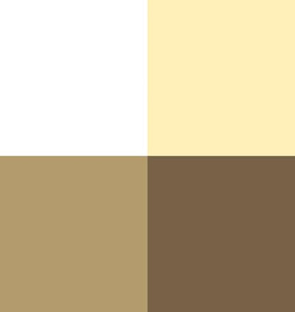 Vallejo - White Color Set, Game Color, 4 Bottles x 0.6 fl.oz. - style: White Color Set