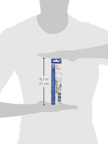 STAEDTLER Mars Lumograph 2B Graphite Art Drawing Pencil, Medium Soft, Break-Resistant Bonded Lead, 12 Pack, 100-2B (100-2B VE) - style: 2B
