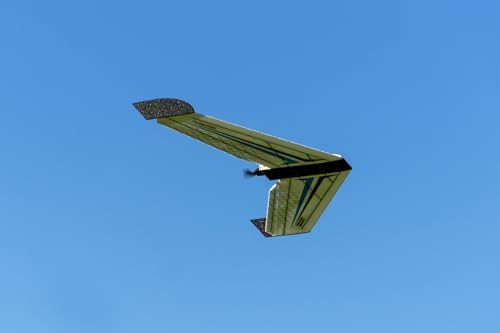 E42 EPP Flying Wing RC Airplane Model 1114mm Wingspan FPV Delta Wing Tail-Pusher - Glider Kit with Power Combo (KIT+Motor+Prop+ESC+Servos)