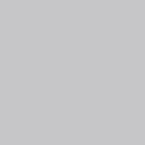 Vallejo - Hobby Paint Spray Basic Primer | Grey 400 ml. (13.52 fl.oz.) | Perfect Matt and Self Levelling Finish - style: Grey 400 ml. (13.52 fl.oz.)