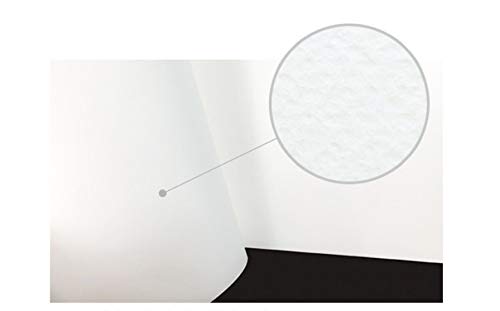 MUNGYO Professional Pastel Paper Pad A4 Size for Oil Pastel, Dry Pastel 30 Sheets (White)