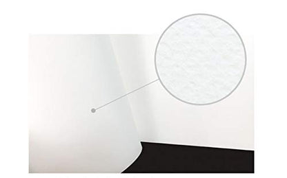 MUNGYO Professional Pastel Paper Pad A4 Size for Oil Pastel, Dry Pastel 30 Sheets (White)