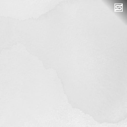 Speedball India Ink, Satin White, 1-Ounce - color: Satin White, size: 1 fl oz