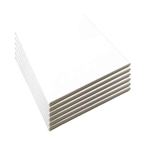 LWR CRAFTS Stretched Canvas 10" X 10" Pack of 6 - size: 10"x10"x6