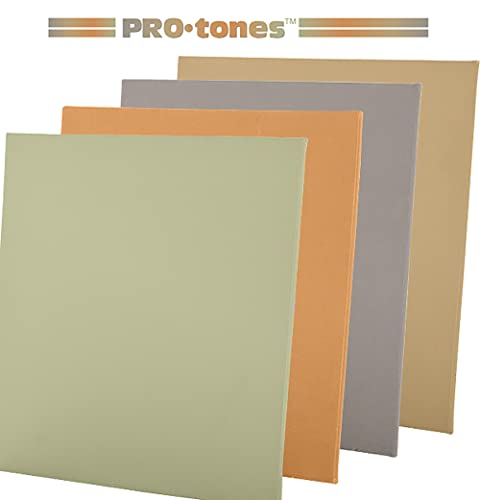 Paramount Pro-Tones All-Media Toned Canvas Panels 3-Pack - Triple-Primed 100% Cotton Canvas, Non-Reflective Colors - Seafoam 12x16 - color: Seafoam, size: 12x16"