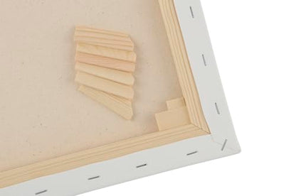 Paramount Pre-Stretched Canvas for Painting- 2-Pack, 16x16" Triple Primed White Canvases- 11/16" Deep, 100% Cotton Stretched Canvas for All Media, Medium Tooth, Back-Stapled, 12oz Primed Weight - size: 16 x 16