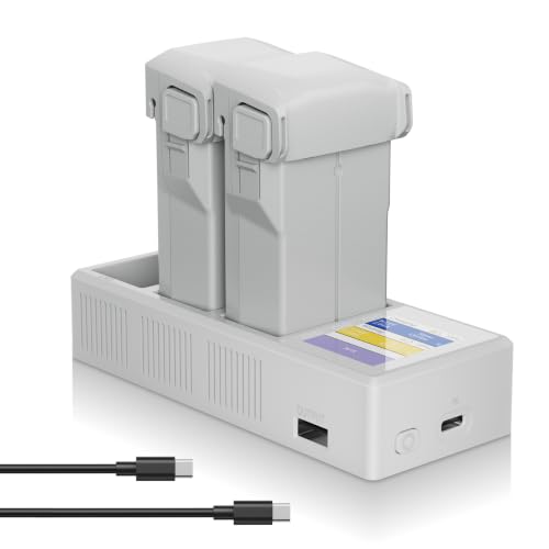 Artman Mini 3 Battery 2-Pack, 3850mAh with 3-Channel LCD Charging Hub