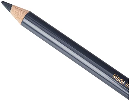 Faber-Castell Polychromos Artists' Single Pencil - Colour 234 Cold Grey V - color: Cold Grey V