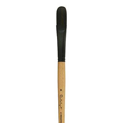 Princeton Catalyst Polytip, Brushes for Acrylic and Oil, Series 6400 Long Handle, Filbert, Size 10 - size: Size 10