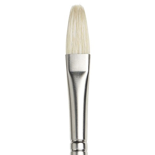 Winsor & Newton Artists' Oil Hog Paint Brush, Long Handle Size 6, Filbert - size: #6, style: Filbert