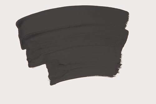 Schmincke Horadam Naturals Graphite black 15 ml 26 730 006 - color: Graphite black