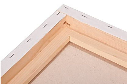 Paramount Professional Gallery Wrapped Canvases for Painting, 6x8 Pack of 3 Heavy-Duty Stretched Canvas, Unbleached 100% Cotton, 1-13/16 Deep, Acid-Free, Triple-Primed, Medium-Tooth Surface - size: 6x8"