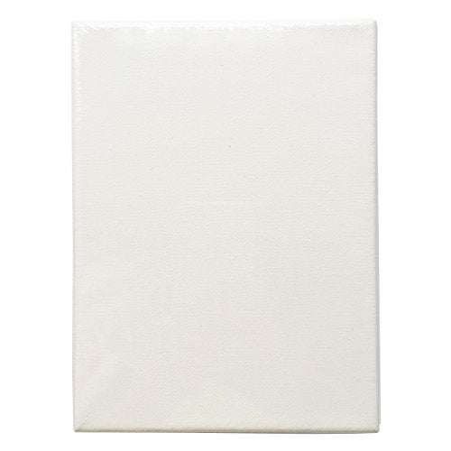 LWR CRAFTS Stretched Canvas 6" X 8" Pack of 6 - size: 6"x8"x6 (standard)