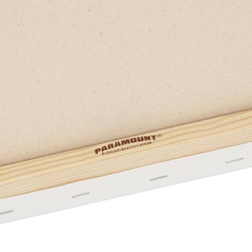 Jerry's Artarama Paramount Pre-Stretched Canvas for Painting- (Pack of 2), 10x10" Triple Primed White Canvases- 11/16" Deep, 100% Cotton Stretched Canvas for All Media, Medium Tooth, Back-Stapled - size: 10 x 10