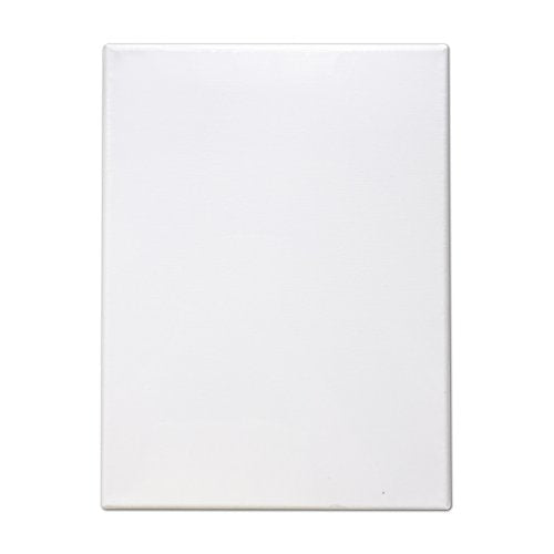 LWR CRAFTS Stretched Canvas 8" X 10" Pack of 6 - size: 8"x10"x6 (standard)