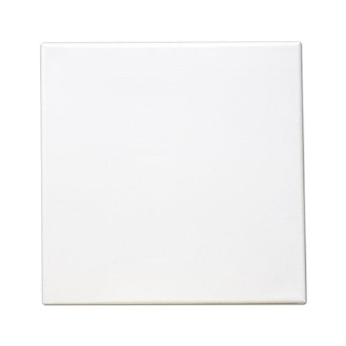 LWR CRAFTS Stretched Canvas 10" X 10" Pack of 6 - size: 10"x10"x6