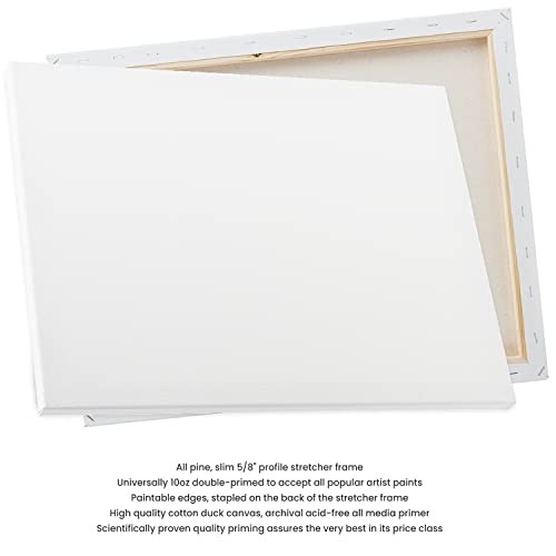 Creative Inspirations 10x10 Stretched Canvas Super Value 5 Packs - Artist Quality, Low Cost Canvas, Cotton Duck, Acid Free, Archival, Accepts All Paints, Double-Primed 10oz, Paintable Edges - size: 10x10"