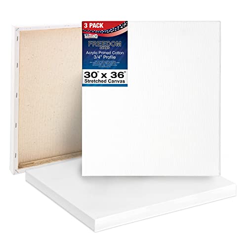 U.S. Art Supply 30"x36" Stretched Canvas for Painting, 3/4" Profile, 3-Pack - size: 30" x 36"