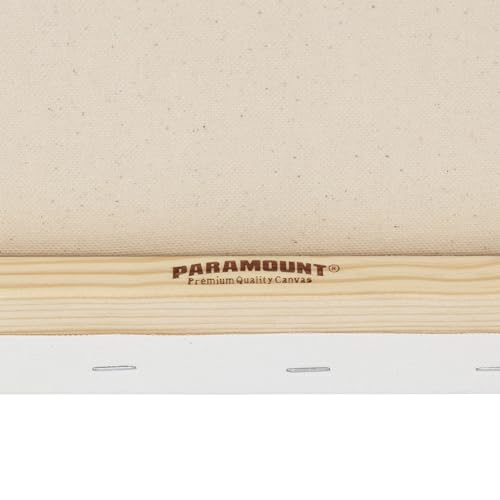 Paramount Canvas for Painting - Pack of 6, 6x6 White Canvases- 11/16" 100% Cotton Stretched Canvas, Triple-Primed for All Media, Medium Tooth, Back-Stapled, 12oz Primed Weight, Wood Stretcher Bars - size: 6x6" - Box of 6