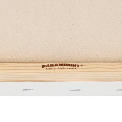 Paramount Canvas for Painting - Pack of 6, 6x6 White Canvases- 11/16" 100% Cotton Stretched Canvas, Triple-Primed for All Media, Medium Tooth, Back-Stapled, 12oz Primed Weight, Wood Stretcher Bars - size: 6x6" - Box of 6