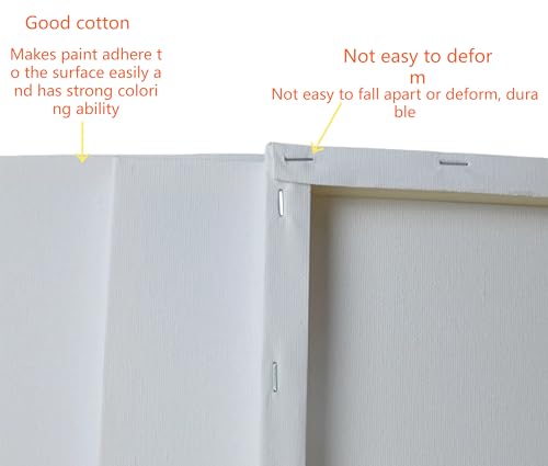 AILOVE Canvas Panels for Oil Painting, 20-Pack, 8 x 10 inches (White)