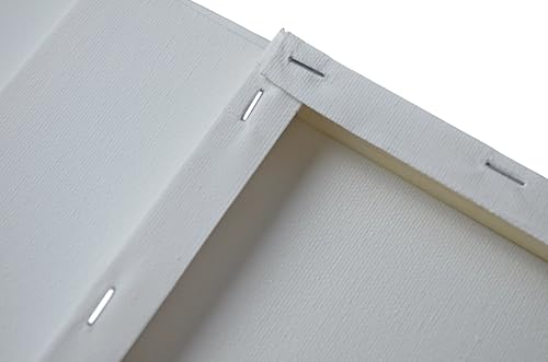 AILOVE Canvas Panels for Oil Painting, 20-Pack, 8 x 10 inches (White)