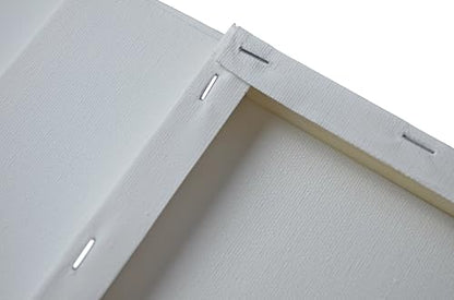 AILOVE Canvas Panels for Oil Painting, 20-Pack, 8 x 10 inches (White)