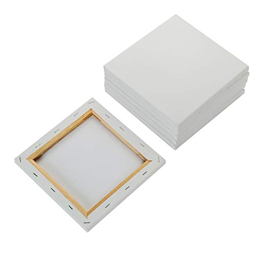 Artist Stretched Canvas 8x8 Inch Stretched Blank Canvas Wooden Frame Pack of 6