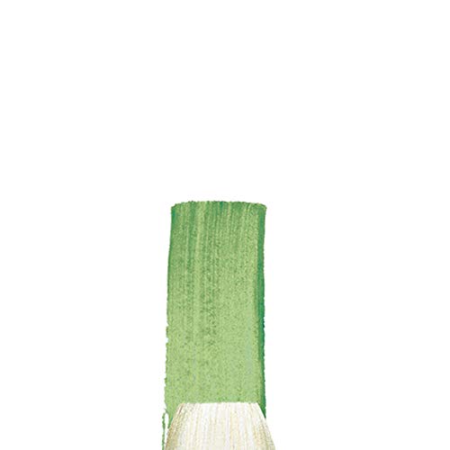 Winsor & Newton Winton Hog Flat #2 Bristle Brush - size: #2, style: Flat