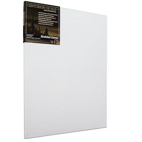 Centurion Deluxe Professional Oil Primed Linen Stretched Canvas, 11oz Linen, 22x28 - Box of 6, 0.67" Deep Canvases, Kiln-Dried Stretchers, Back Stapled, Premium Medium Weight Canvas for Oil Paintings - size: 22"x28"