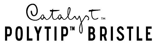 Princeton Catalyst, Series 6400, Long-Handle Synthetic Polytip Bristle Paint Brush, Flat, 16 - size: Size 16