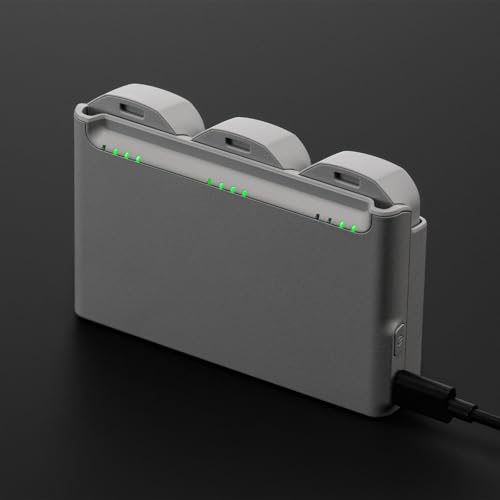 2 Pack Neo Battery and Neo Two-Way Charging Hub Compatible with DJI Neo Drone