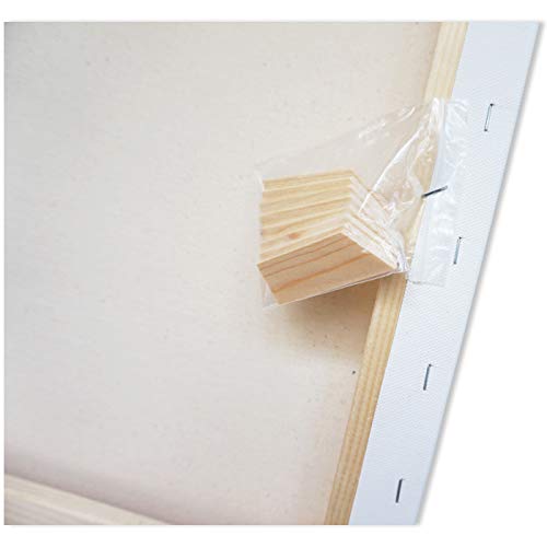 LWR CRAFTS Stretched Canvas 16" X 18" Pack of 2 - size: 16"x18"x2